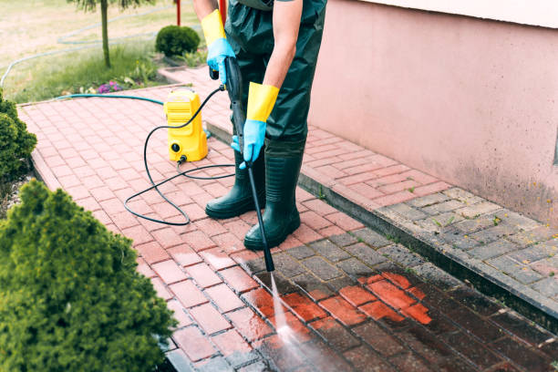 Best Spring Cleaning  in Blackshear, GA