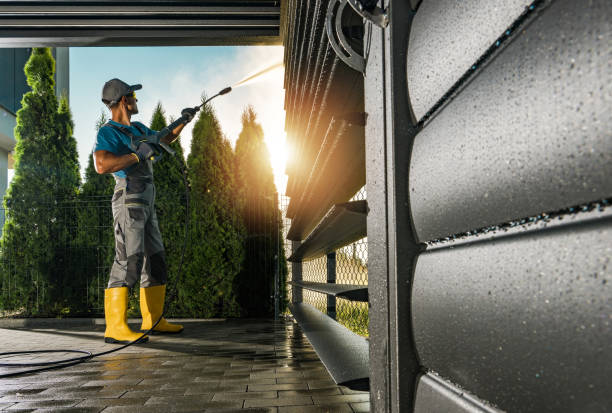 Best Soft Washing  in Blackshear, GA